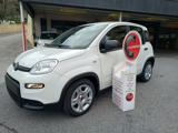 FIAT Panda 1.0 Hybrid - KM.ZERO - NO OBBLIGO FINANZIARIO