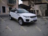 LAND ROVER Range Rover Evoque 2.0 TD4 180 CV 5p. SE