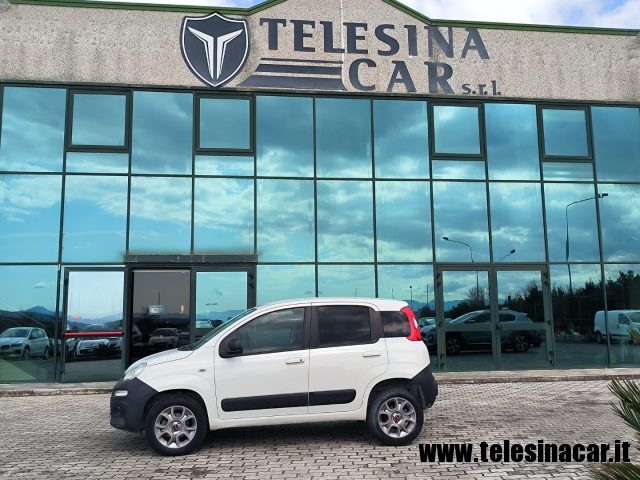 FIAT Panda 1.3 MJT 4x4 2 POSTI VAN Immagine 4