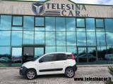 FIAT Panda 1.3 MJT 4x4 2 POSTI VAN