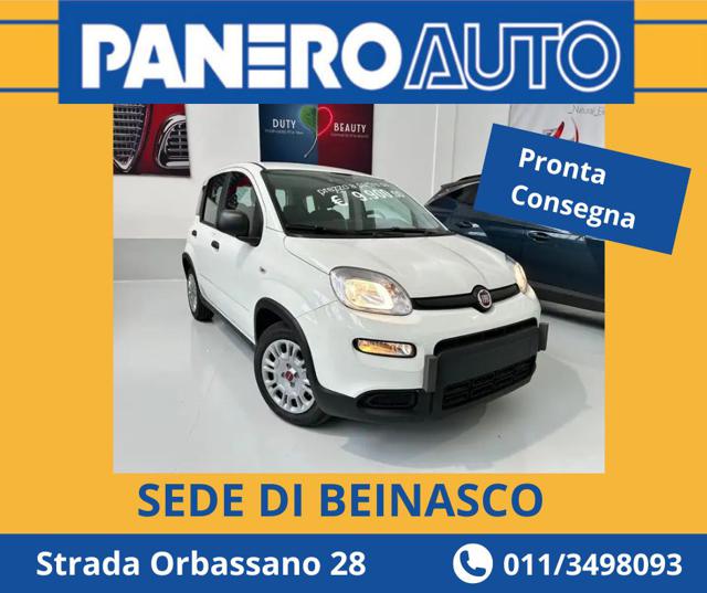 FIAT Panda 1.0 FireFly S&S Hybrid Immagine 0