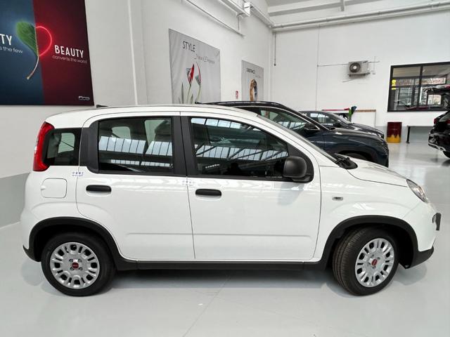 FIAT Panda 1.0 FireFly S&S Hybrid Immagine 4