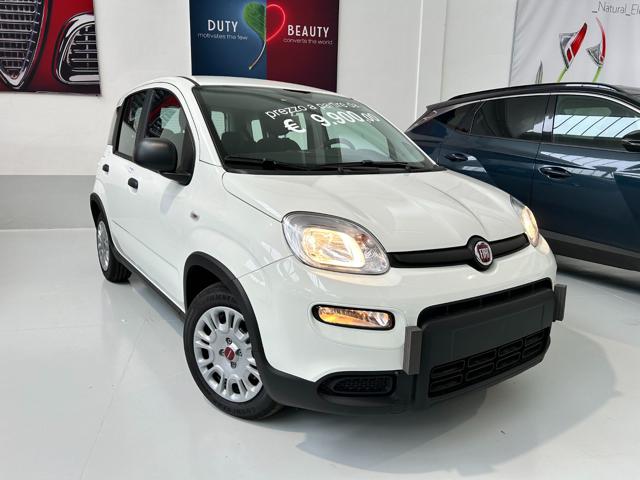 FIAT Panda 1.0 FireFly S&S Hybrid Immagine 1