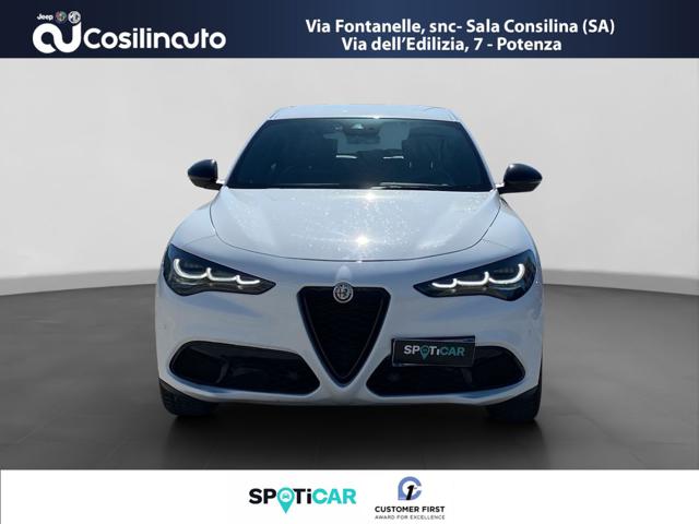 ALFA ROMEO STELVIO 2.2 TURBODIESEL 210 CV AT8 Q4 - foto 8