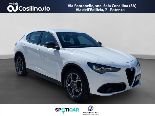 ALFA ROMEO STELVIO 2.2 TURBODIESEL 210 CV AT8 Q4 - foto 7
