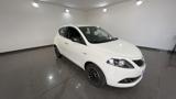 LANCIA Ypsilon 1.0 FireFly S&S Hybrid PLATINO - VARI COLORI!