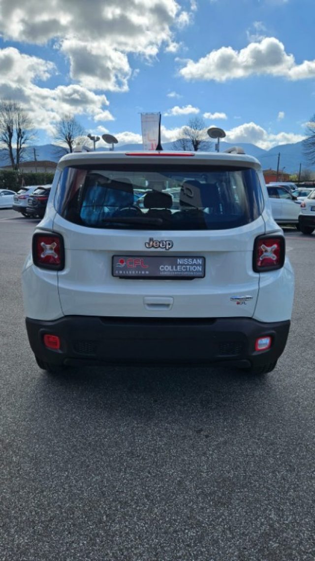 JEEP Renegade 1.0 T3 Business Immagine 4