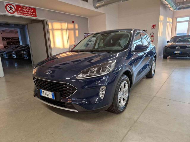 FORD Kuga 1.5 EcoBoost 120 CV Connect Immagine 0