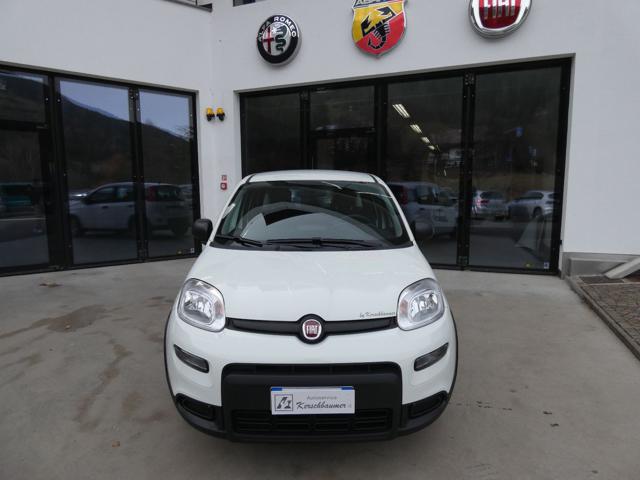 FIAT Panda 1.0 FireFly S&S Hybrid Immagine 2