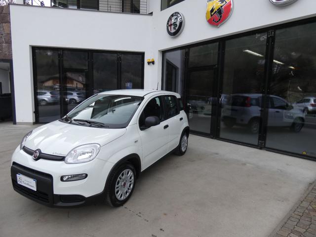 FIAT Panda 1.0 FireFly S&S Hybrid Immagine 1