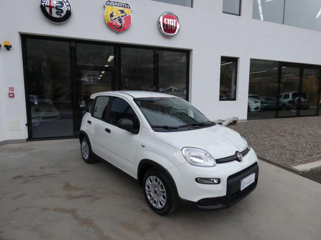 FIAT Panda 1.0 FireFly S&S Hybrid Immagine 0