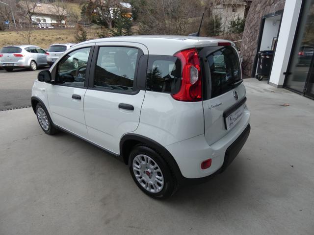 FIAT Panda 1.0 FireFly S&S Hybrid Immagine 3