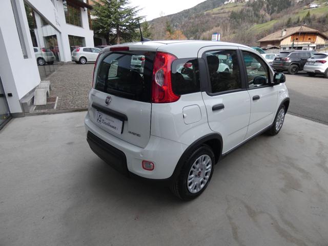 FIAT Panda 1.0 FireFly S&S Hybrid Immagine 4