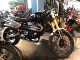 TRIUMPH Scrambler 1200 XE XE