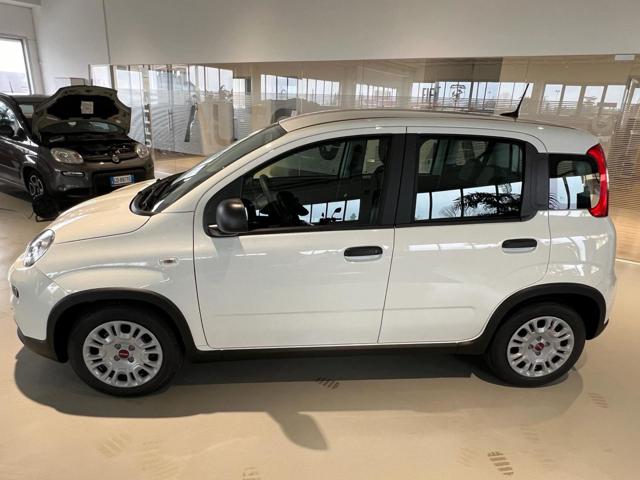 FIAT Panda 1.0 FireFly S&S Hybrid Immagine 2