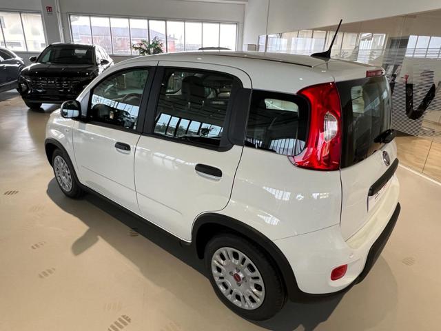 FIAT Panda 1.0 FireFly S&S Hybrid Immagine 3