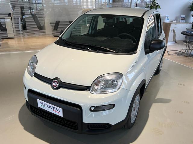 FIAT Panda 1.0 FireFly S&S Hybrid Immagine 0