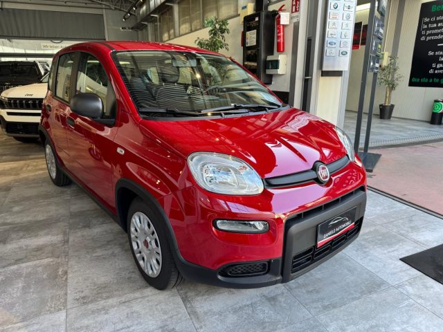 FIAT Panda 1.0 FireFly S&S Hybrid Immagine 1