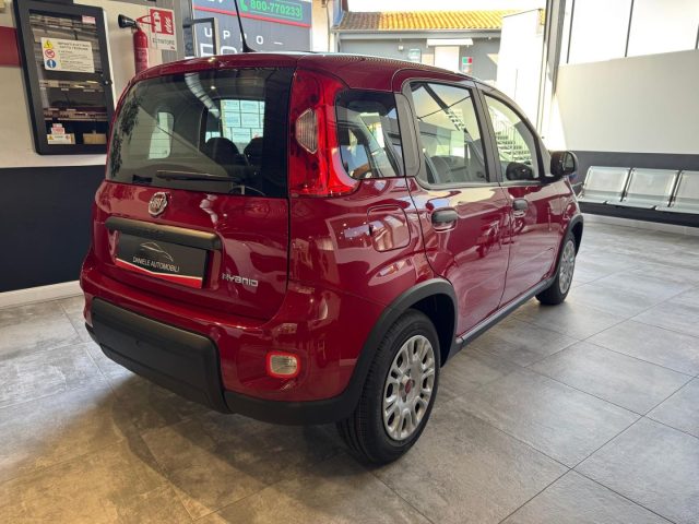 FIAT Panda 1.0 FireFly S&S Hybrid Immagine 2