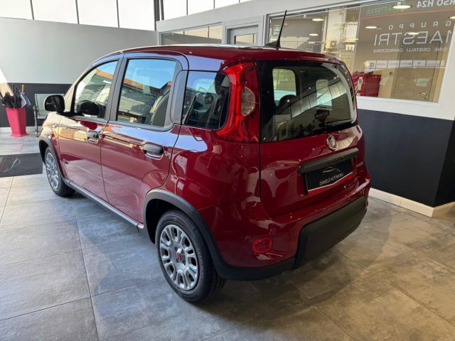 FIAT Panda 1.0 FireFly S&S Hybrid Immagine 3