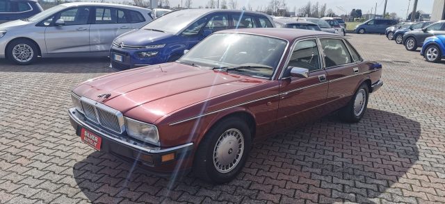 JAGUAR Daimler 4.0 cat Immagine 2