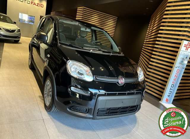 FIAT Panda 1.0 FireFly S&S Hybrid Immagine 3