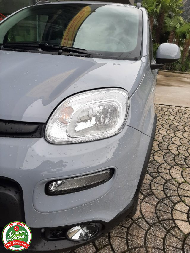 FIAT Panda 1.0 FireFly S&S Hybrid City Life - OK NEOPATENTATI Immagine 2