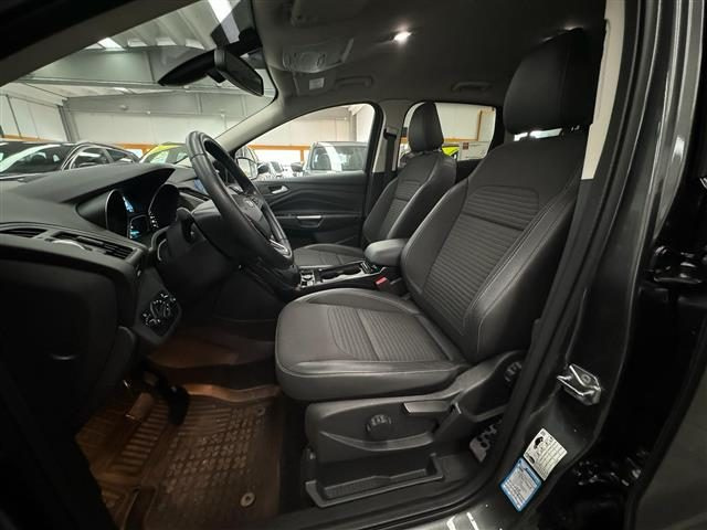 FORD Kuga 1.5 TDCi 120cv Edition 2WD Powershift S S Immagine 4