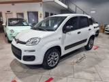 FIAT Panda 1.3 MJT 4x4