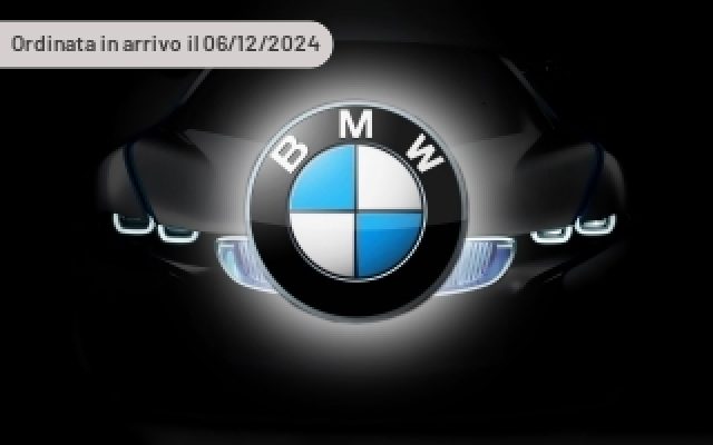 BMW X2 Elettrica/Diesel usata