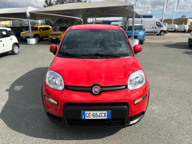 FIAT Panda 1.0 FireFly S&S Hybrid Sport Immagine 1