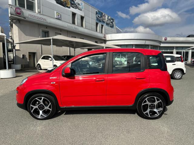 FIAT Panda 1.0 FireFly S&S Hybrid Sport Immagine 3