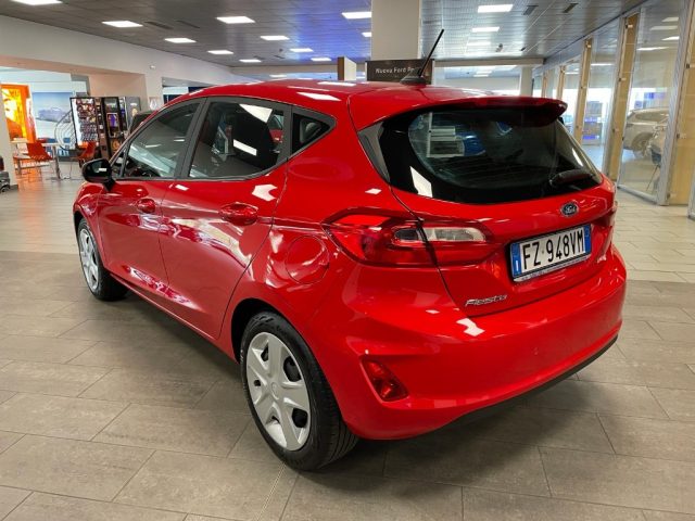 FORD Fiesta 1.1 Benzina 75cv. 5 porte PLUS,OK NEO PATENTATI Immagine 4