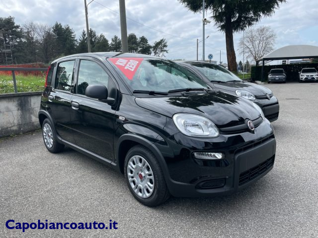 FIAT Panda 1.0 FireFly Hybrid CityLife KM0+PACK CITY LIGHT+5P Immagine 2