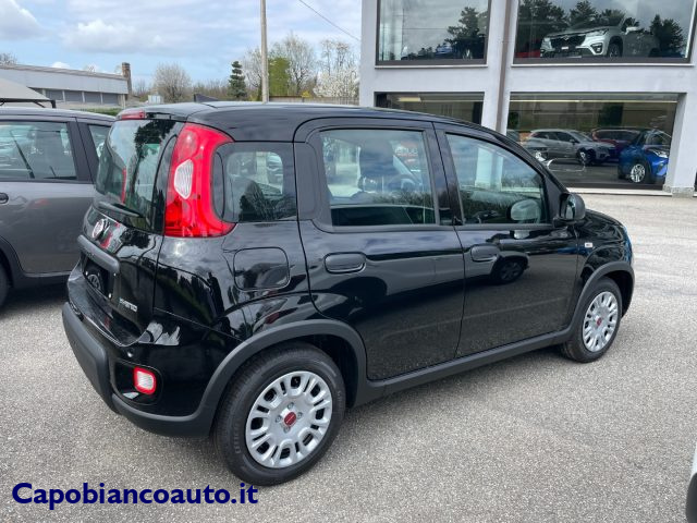 FIAT Panda 1.0 FireFly Hybrid CityLife KM0+PACK CITY LIGHT+5P Immagine 3