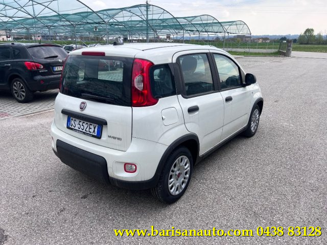 FIAT Panda 1.0 FireFly S&S Hybrid Immagine 2