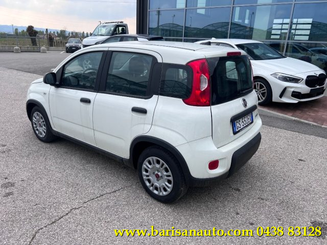 FIAT Panda 1.0 FireFly S&S Hybrid Immagine 3