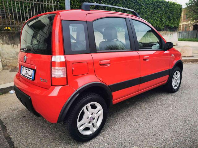 FIAT Panda 1.2 Climbing Natural Power Immagine 3