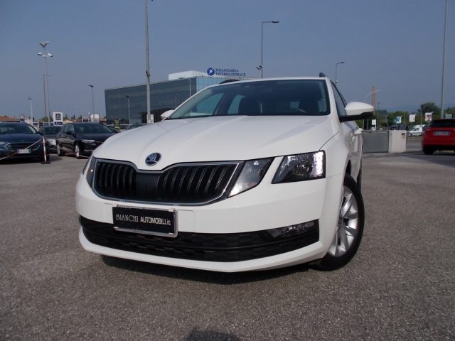 SKODA Octavia 1.6 TDI SCR 115 CV Wagon Executive Immagine 3