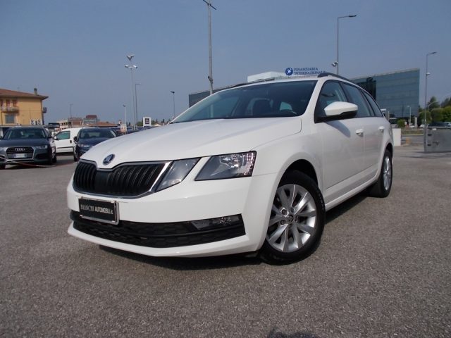 SKODA Octavia 1.6 TDI SCR 115 CV Wagon Executive Immagine 1