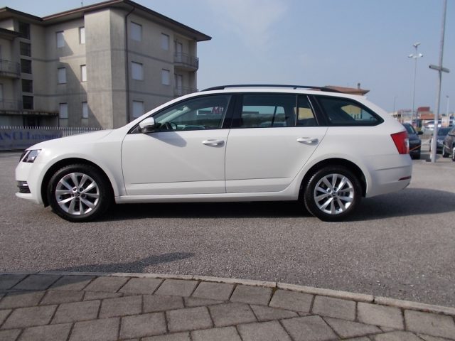 SKODA Octavia 1.6 TDI SCR 115 CV Wagon Executive Immagine 4