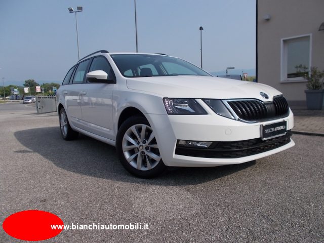 SKODA Octavia 1.6 TDI SCR 115 CV Wagon Executive Immagine 0