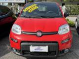 FIAT Panda 1.0 FireFly S&S Hybrid Sport 70 CV