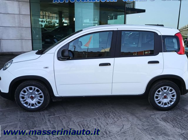 FIAT Panda 1.0 Hybrid 70 CV PREZZO REALE SENZA OBBLIGHI Immagine 1