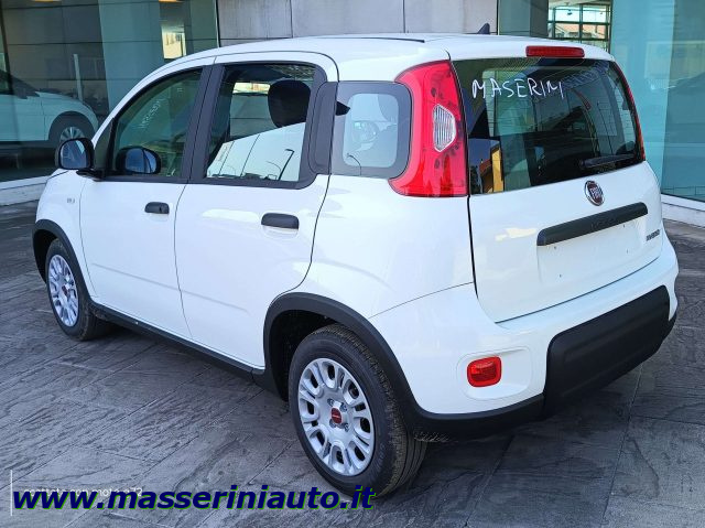 FIAT Panda 1.0 Hybrid 70 CV PREZZO REALE SENZA OBBLIGHI Immagine 2