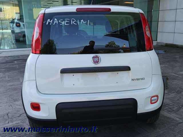 FIAT Panda 1.0 Hybrid 70 CV PREZZO REALE SENZA OBBLIGHI Immagine 3