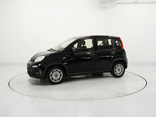 FIAT Panda Panda 1.0 FireFly Hybrid Immagine 0