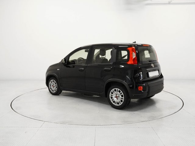 FIAT Panda Panda 1.0 FireFly Hybrid Immagine 1