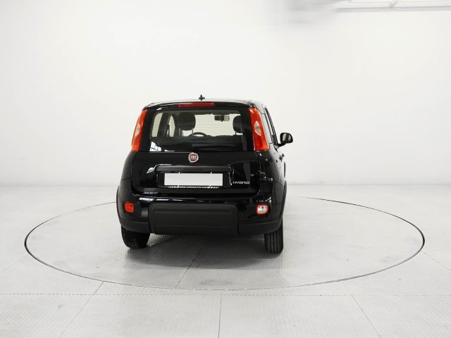 FIAT Panda Panda 1.0 FireFly Hybrid Immagine 3