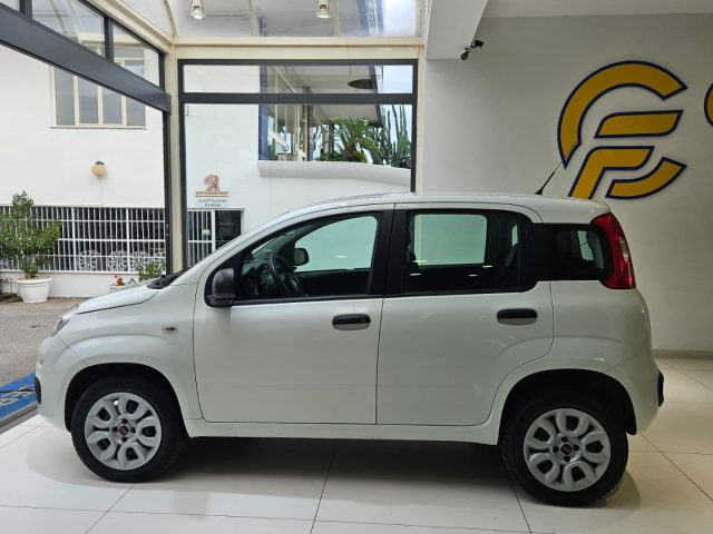 FIAT Panda 0.9 TwinAir Turbo Natural Power Easy da ?99,00 Immagine 2